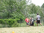 OTFL Gallery Image